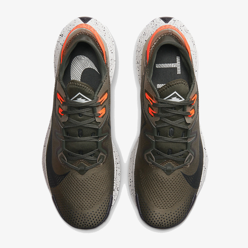 Nike NIKE PEGASUS TRAIL 2 