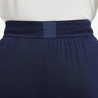 Nike Paris Saint-Germain Strike Home 