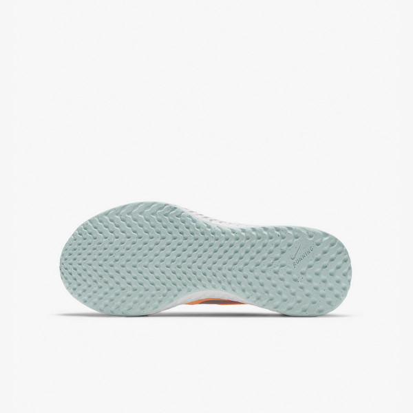 Nike NIKE REVOLUTION 5 SE GG 