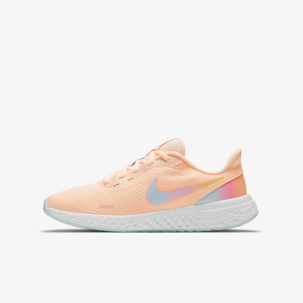 Nike NIKE REVOLUTION 5 SE GG 