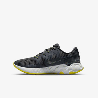 Nike NIKE RENEW RIDE 2 PRM 