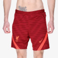 Nike Liverpool F.C. Strike 