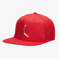 Nike JORDAN PRO ELE INGOT CAP 