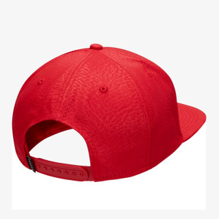 Nike JORDAN PRO ELE INGOT CAP 