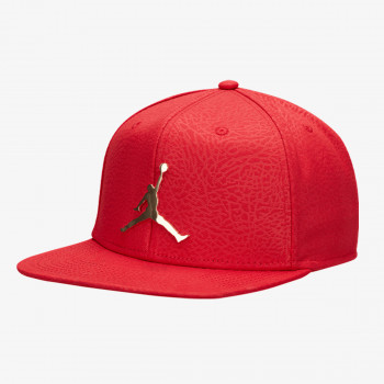 Nike JORDAN PRO ELE INGOT CAP 