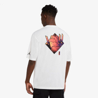 Nike JORDAN DRI-FIT ZION 