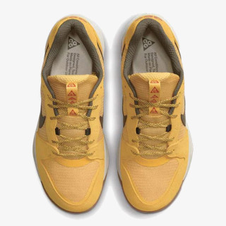 Nike ACG LOWCATE 
