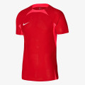 Nike M NK DFADV VAPOR IV JSY SS 