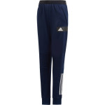 adidas YB TR TAP PANT 