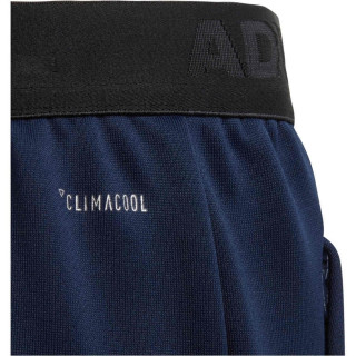 adidas YB TR TAP PANT 