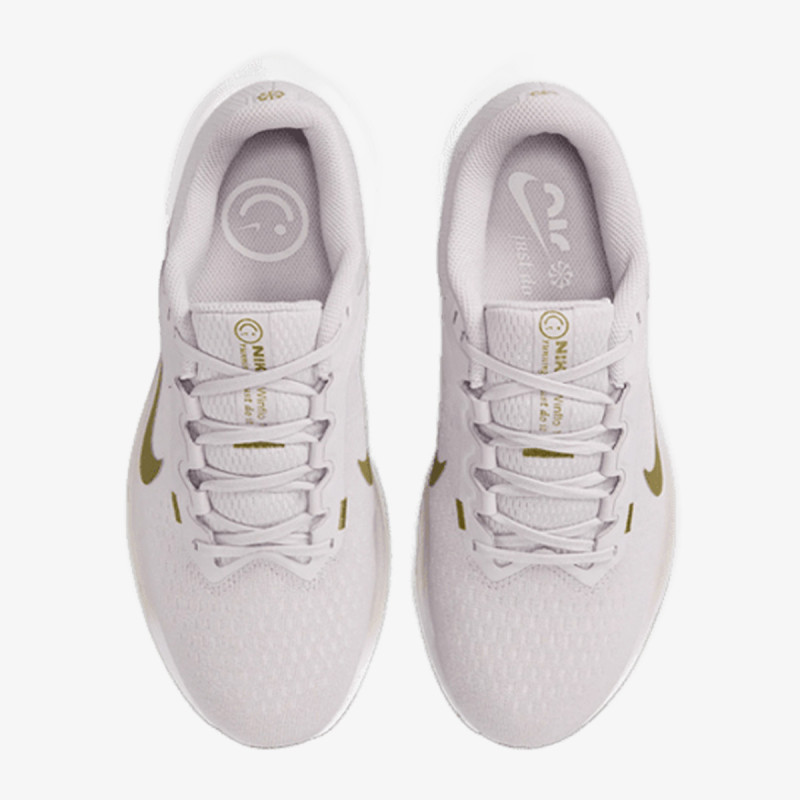 Nike Air Winflo 