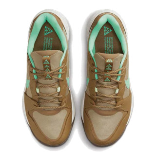 Nike ACG LOWCATE 