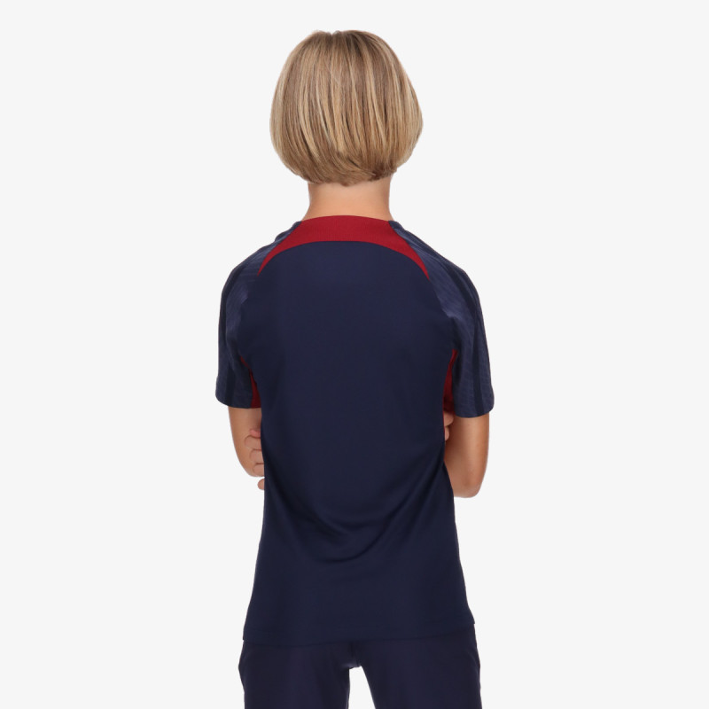 Nike Paris Saint-Germain Strike 