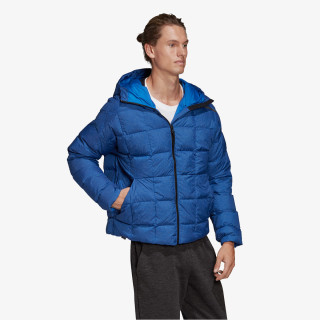 adidas ZNE DWN JKT 
