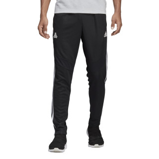 adidas TAN TR PANT 