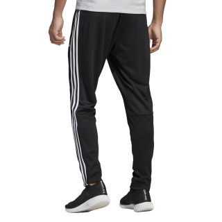 adidas TAN TR PANT 