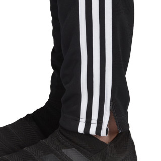adidas TAN TR PANT 