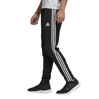 adidas TAN TR PANT 