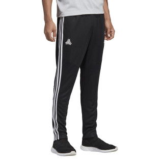 adidas TAN TR PANT 