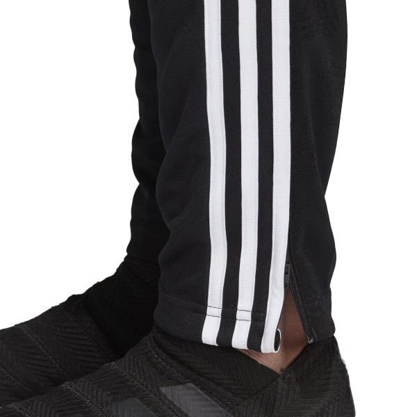 adidas TAN TR PANT 