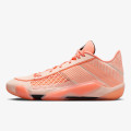 Nike Air Jordan 38 