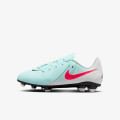 Nike Phantom Gx II Club 