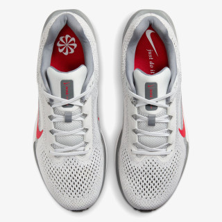 Nike Nike Winflo 11 