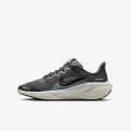 Nike AIR ZOOM PEGASUS 41 GS 