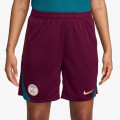 Nike Paris Saint-Germain 