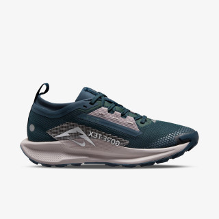 Nike Pegasus Trail 5 Gtx 
