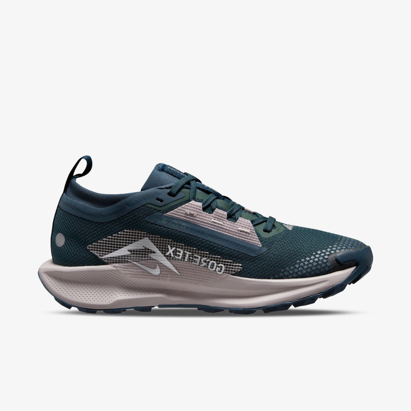 Nike Pegasus Trail 5 Gtx 