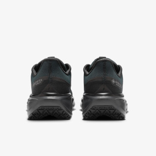 Nike AIR ZM PEGASUS 41 GTX 