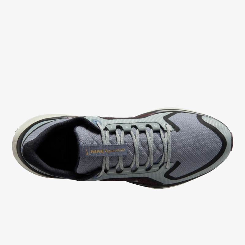 Nike Air Zoom Pegasus 41 