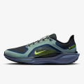 Nike AIR ZM PEGASUS 41 GTX