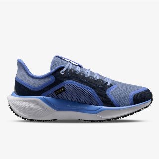 Nike Air Zoom Pegasus 41 