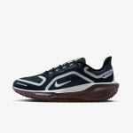 Nike W AIR ZM PEGASUS 41 GTX 