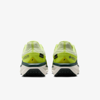 Nike W AIR WINFLO 11 GTX 