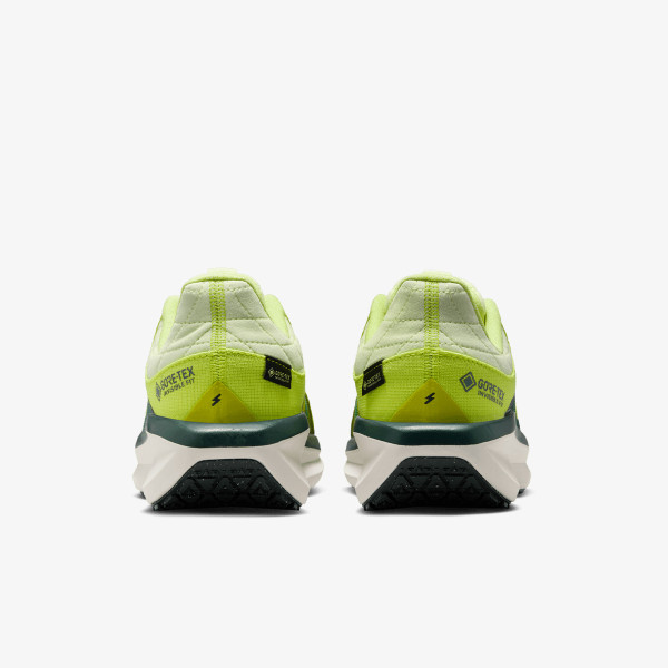 Nike W AIR WINFLO 11 GTX 