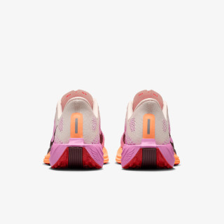 Nike Pegasus Plus 