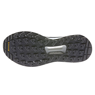 adidas TERREX FREE HIKER GTX W 