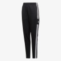 adidas SQ21 TR PNT Y 