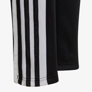 adidas SQ21 TR PNT Y 