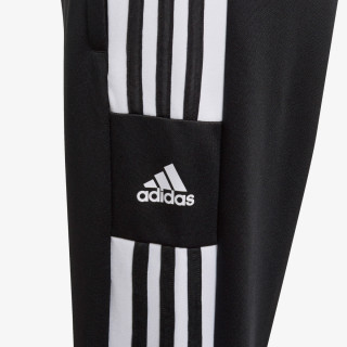 adidas SQ21 TR PNT Y 