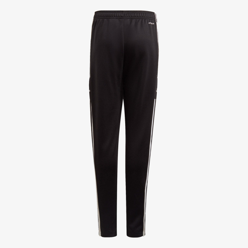 adidas SQ21 TR PNT Y 