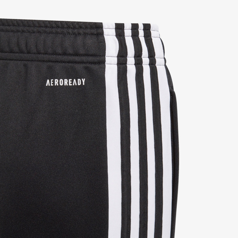 adidas SQ21 TR PNT Y 