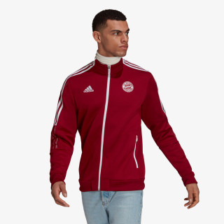 adidas FC BAYERN ANTHEM 