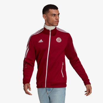 adidas FC BAYERN ANTHEM 