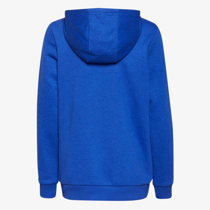 adidas ESSENTIALS LOGO HOODED 