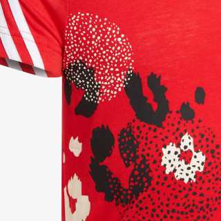 adidas 3-STRIPES GRAPHIC 