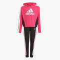 adidas Hooded Cropped Top 